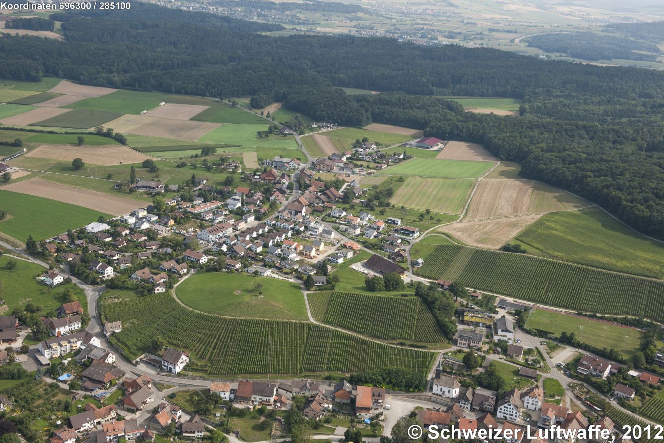 Neudörflingen mit Rebhang am Buck; im Hintergrund links Bietingen, Mitte: Randegg, Gottmadingen